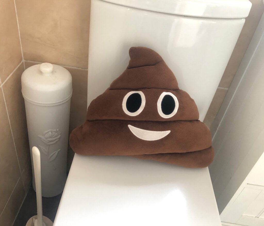 Mr. Poop plush